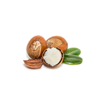 OLIVE_SPA_FABULOUS_05